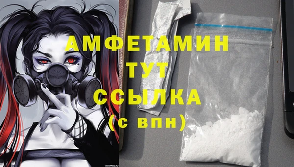 дживик Краснослободск