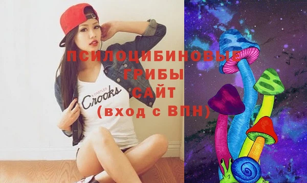 дживик Краснослободск
