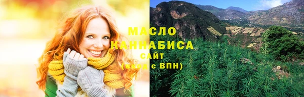 дживик Краснослободск