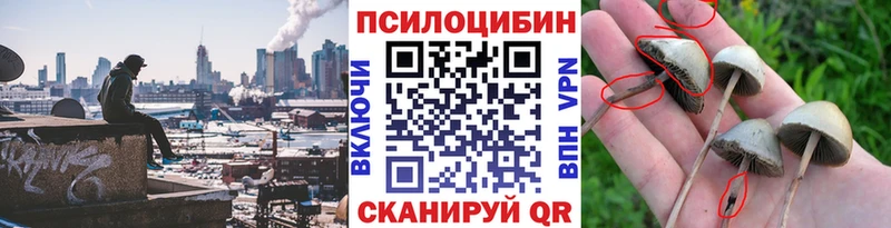 Псилоцибиновые грибы ЛСД  Купить закладки  Артёмовский 